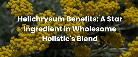 Helichrysum Benefits: A Star Ingredient in Wholesome Holistic's Blend