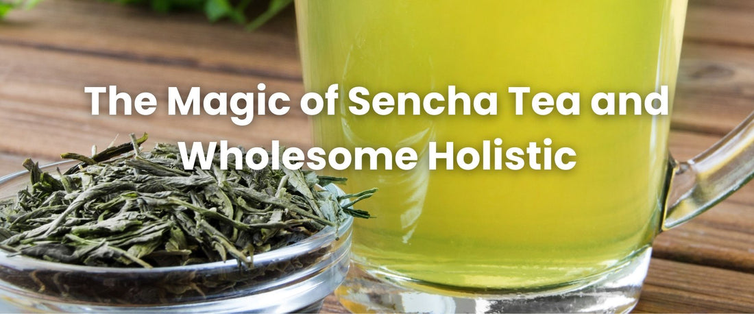 The Magic of Sencha Tea and Wholesome Holistic