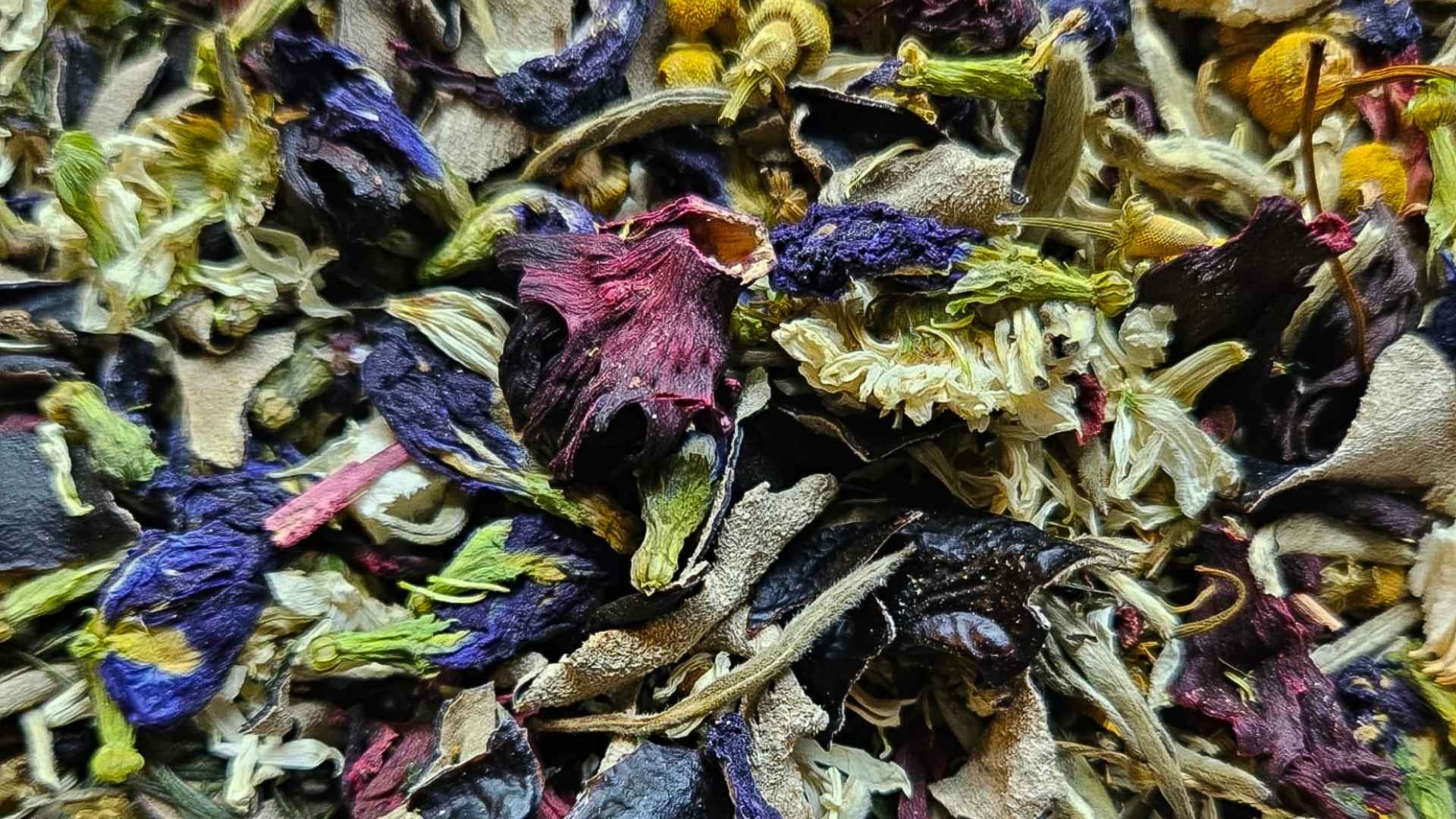 Loose leaf tea ingredients including butterfly pea, hibiscus, chamomile, elderberry, and adaptogenic mushrooms.